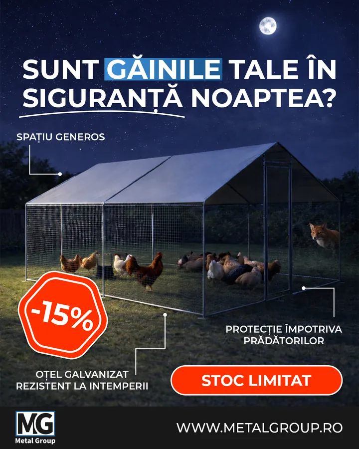Baromfiudvar hirdetés kreatív, éjszakai látványterv