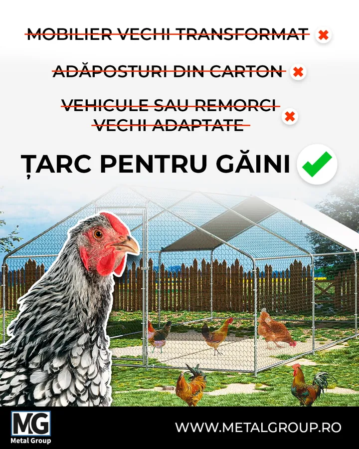 Baromfiudvar termékbemutató hirdetés kreatív