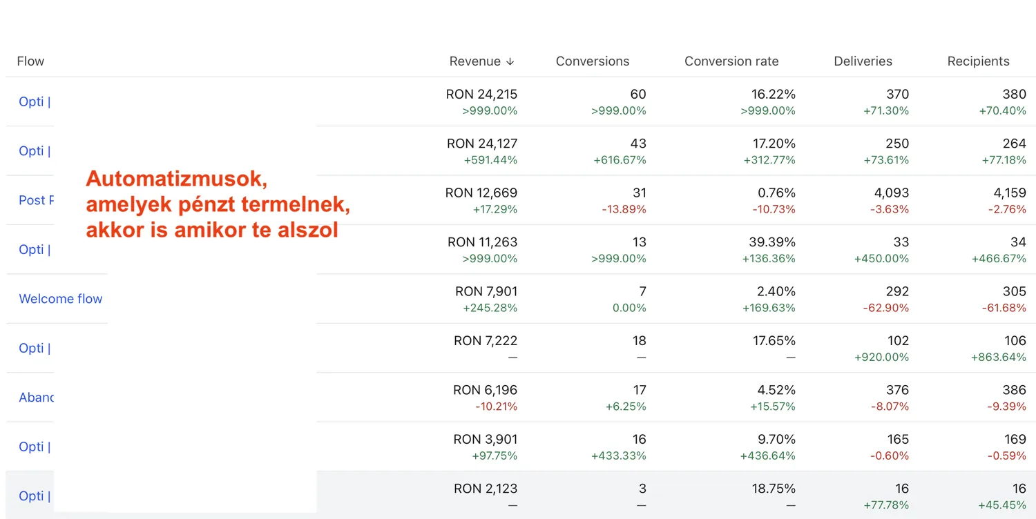Email automatizmusok teljesítménye: flow-nként RON 24 000 fölötti bevétel, magas konverziós aránnyal és folyamatos növekedéssel.